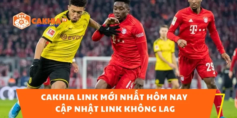 Cakhia Link Mới Nhất Hôm Nay – Cập Nhật Link Không Lag