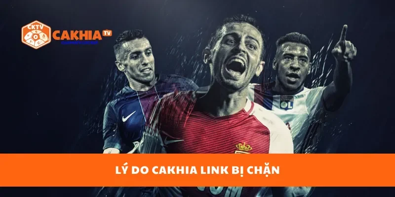 Lý do cakhia link bị chặn