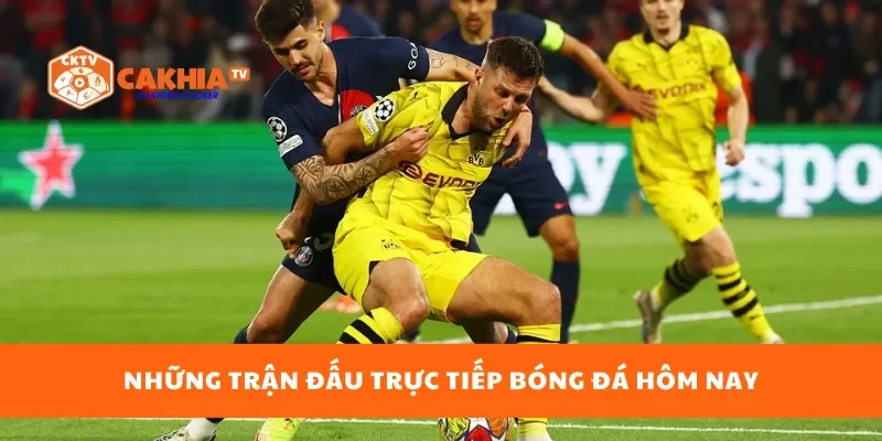 Những trận đấu trực tiếp bóng đá hôm nay